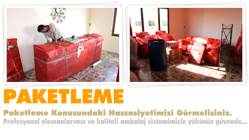 Profesyonel Paketleme